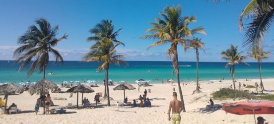 Bild: Palmen an der Playa del Este, Havannas Strand